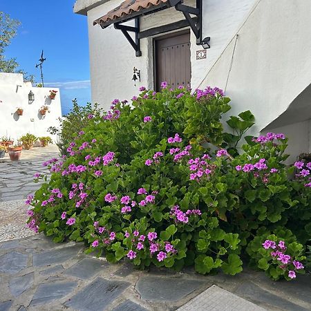 Casa Lucia Appartement Genovés Buitenkant foto