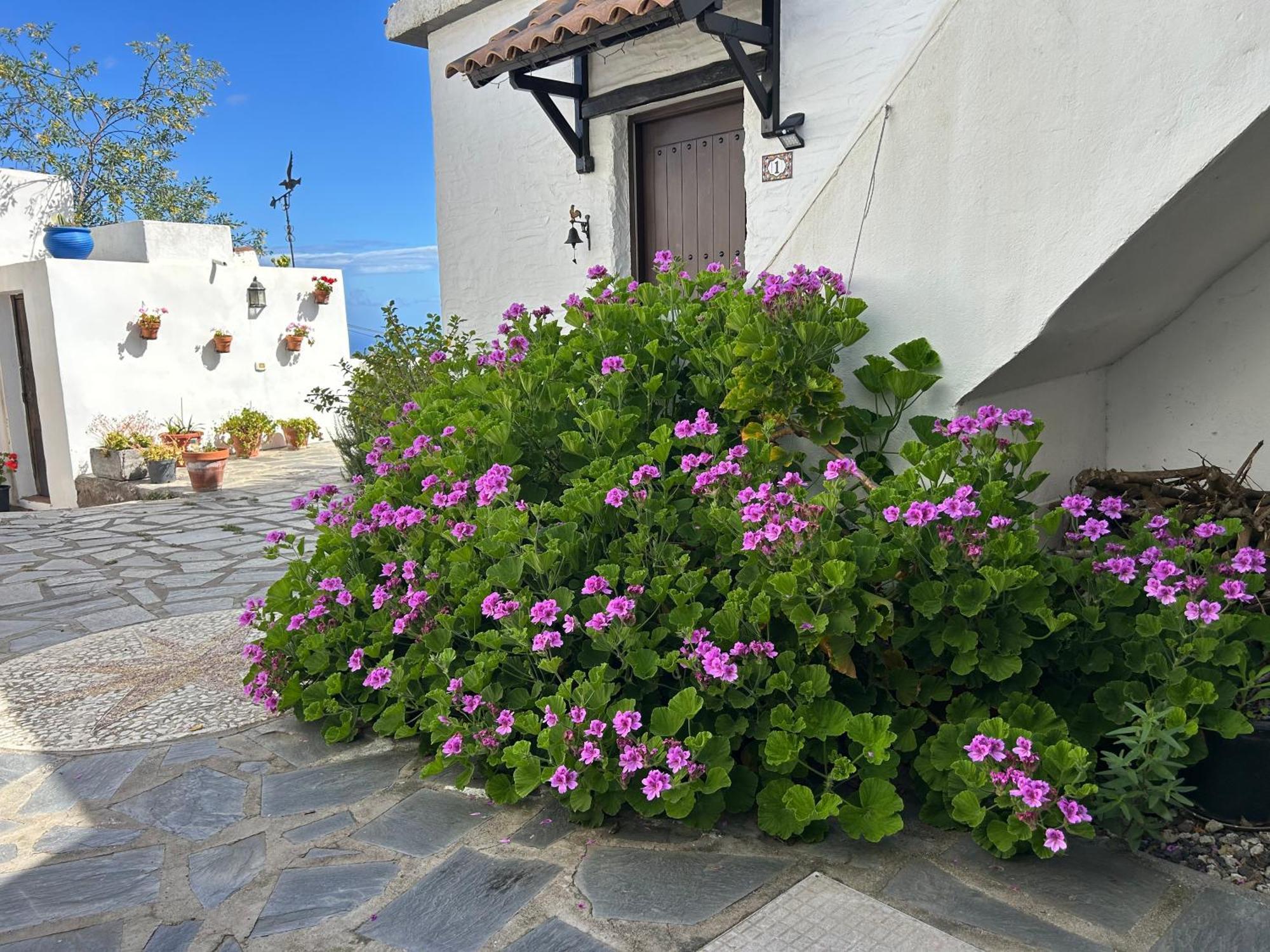Casa Lucia Appartement Genovés Buitenkant foto